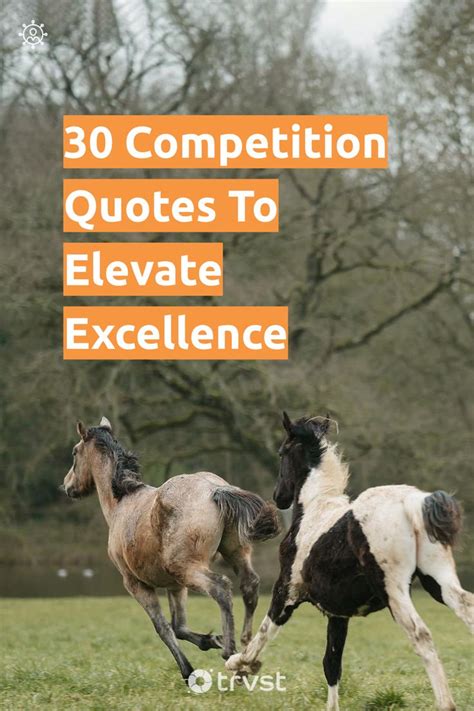 30 Competition Quotes To Elevate Excellence .